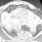 トマト煮込みメニュー